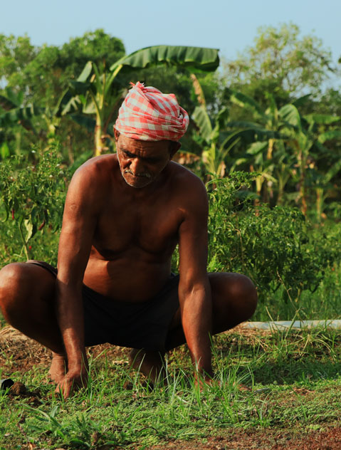 Aerial view of a man wearing a floral printed hat preparing the soil for the next crop